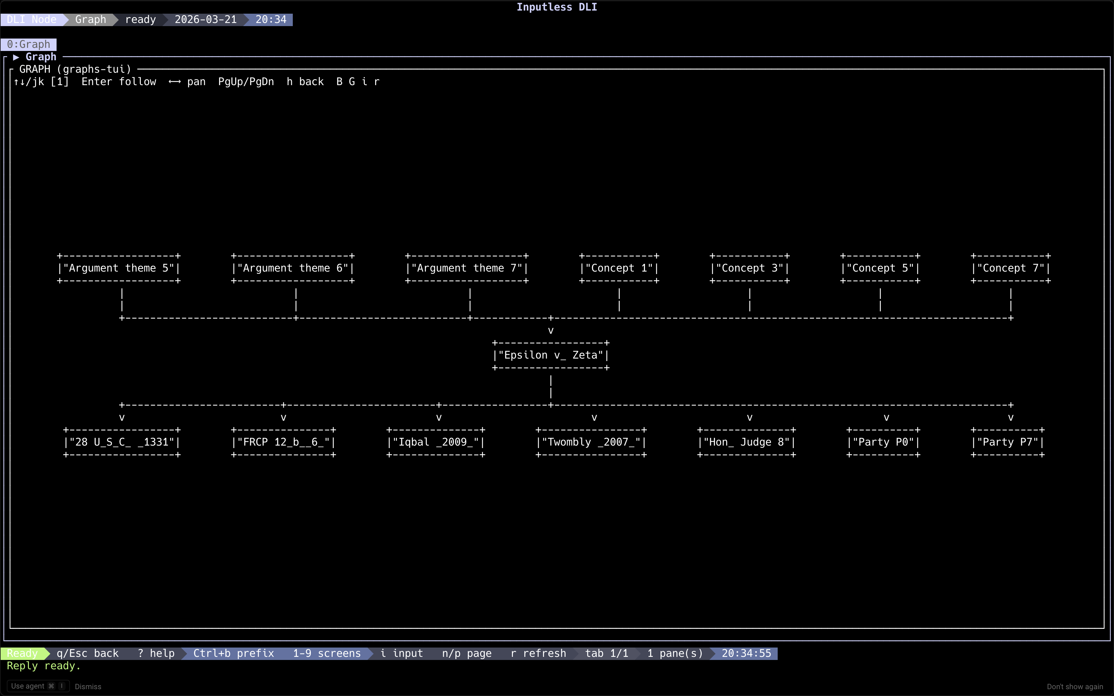 Inputless DLI terminal graph: central case Epsilon v. Zeta with themes, concepts, statutes, and parties